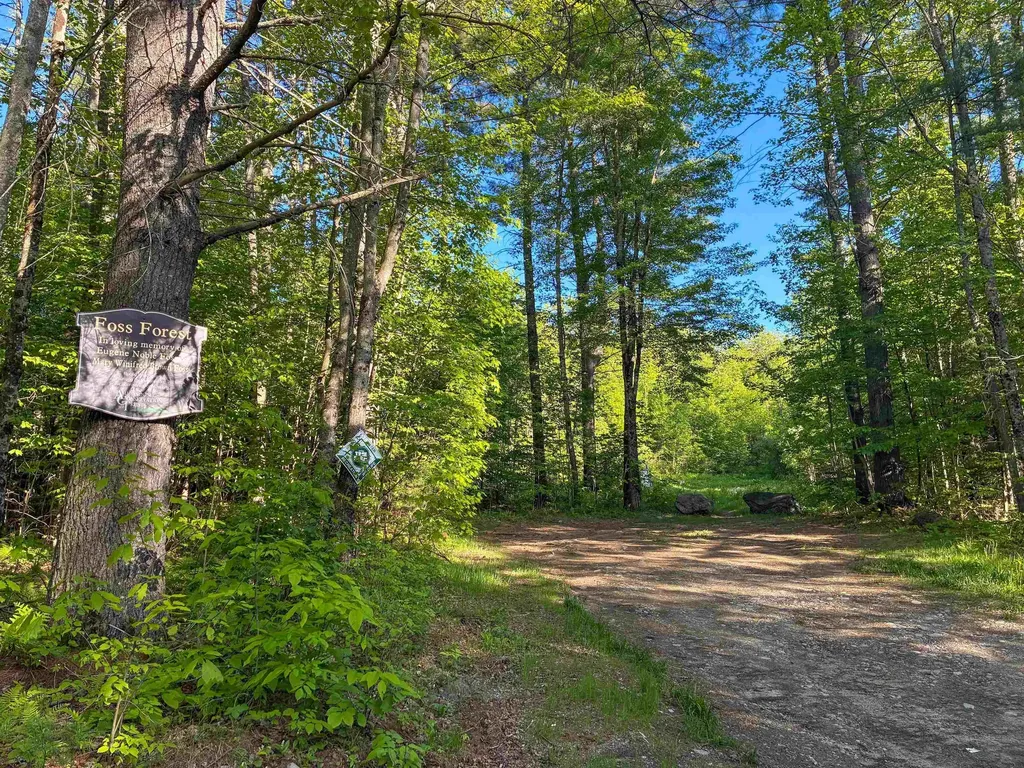 994 Pearl Lake Road Sugar Hill NH 03586