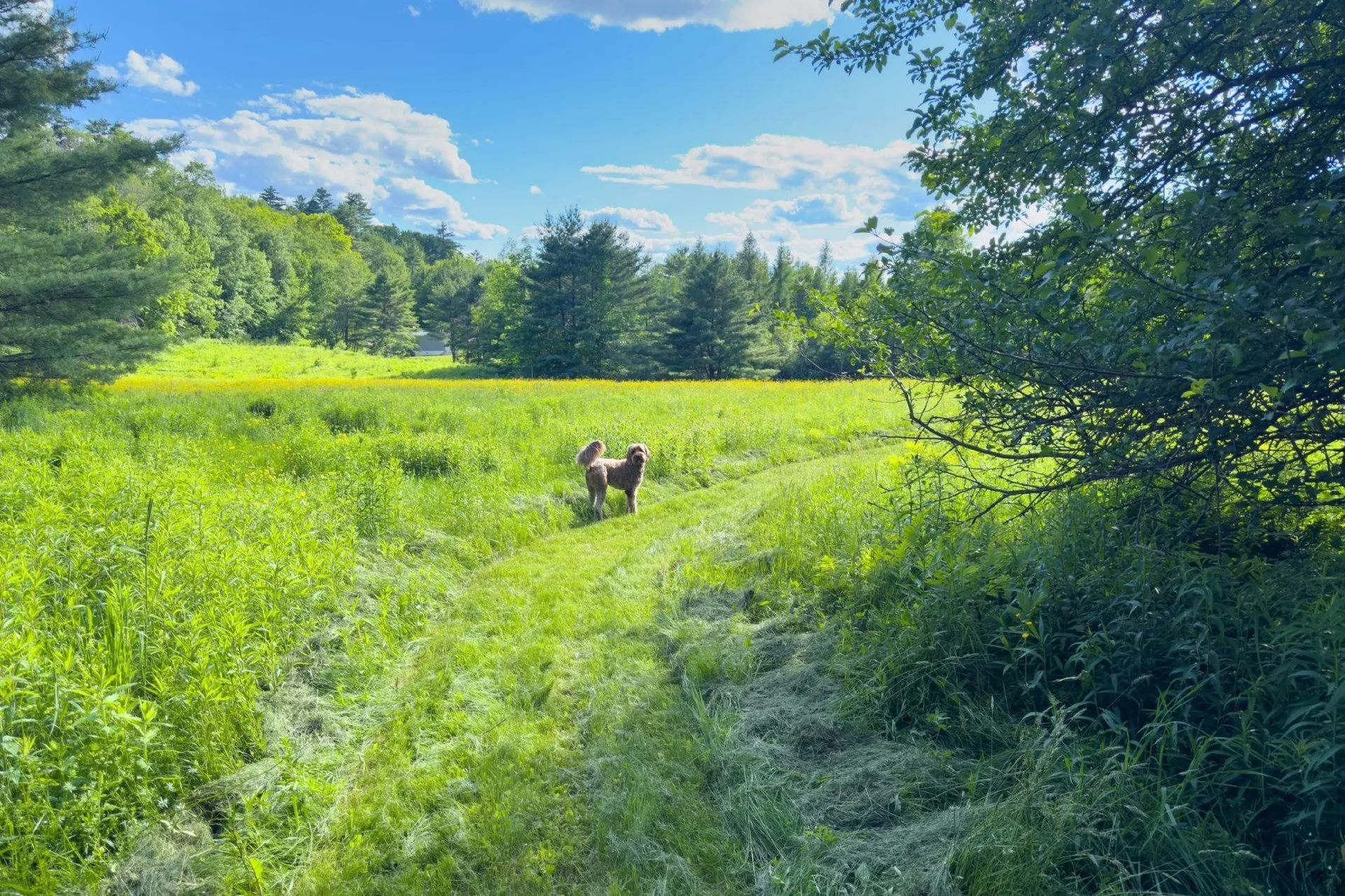 994 Pearl Lake Road Sugar Hill NH 03586