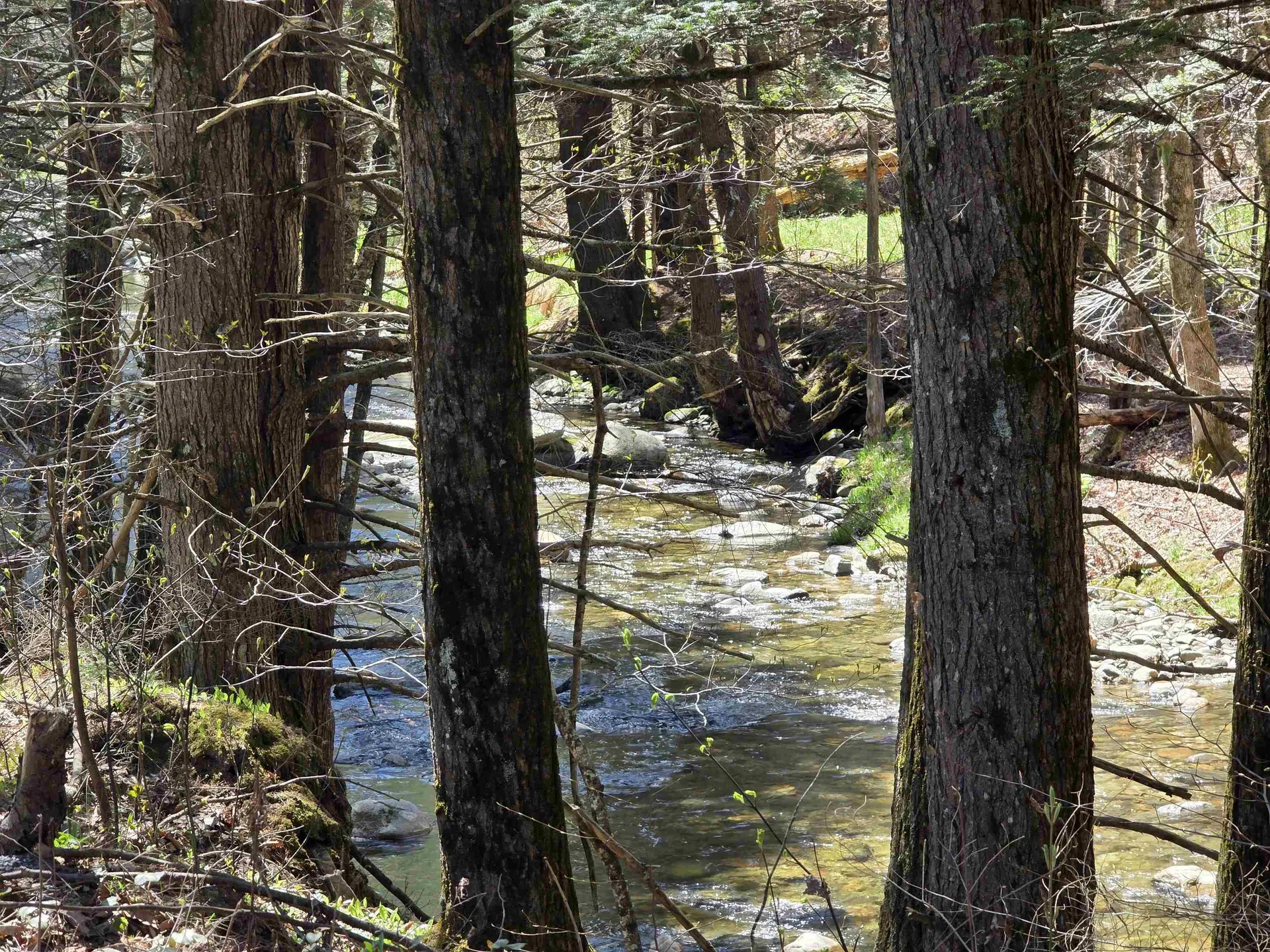 134 Baker Brook Road Newfane VT 05345