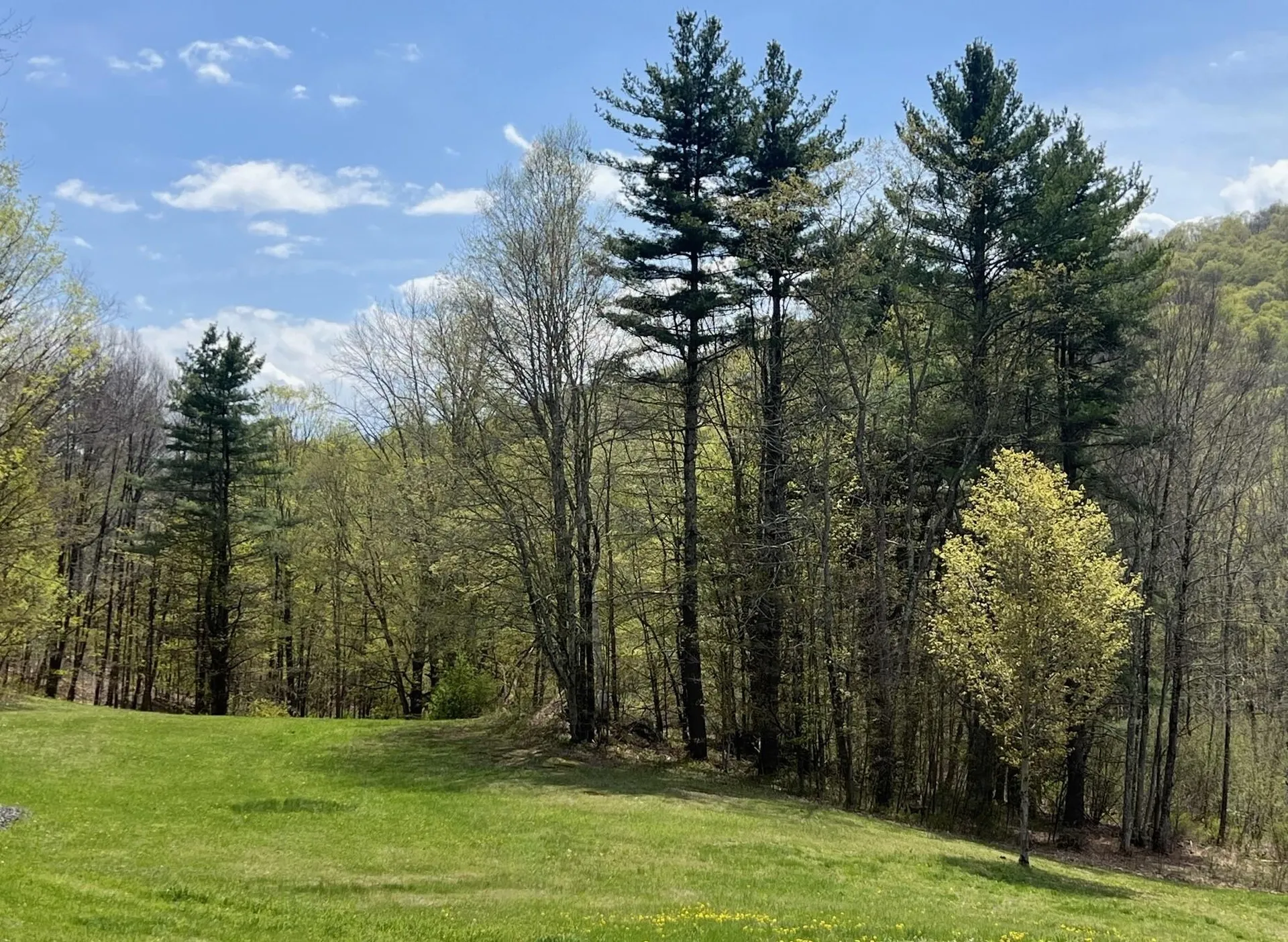 42 Mountain Road Middletown Springs VT 05757