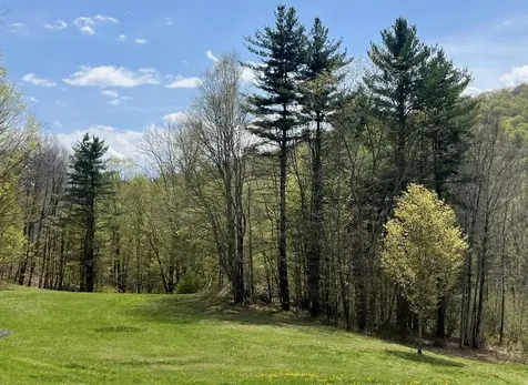 42 Mountain Road Middletown Springs VT 05757