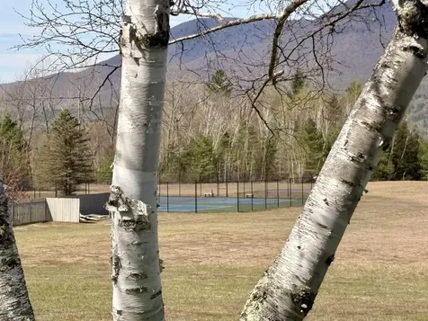 39 Sage Hill Road Manchester VT 05255