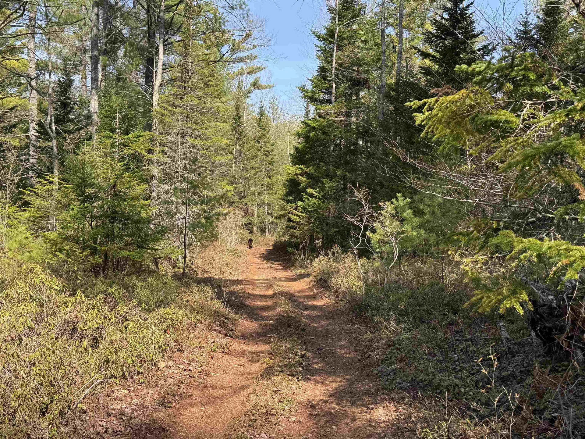 00 Province Lake Road Effingham NH 03882