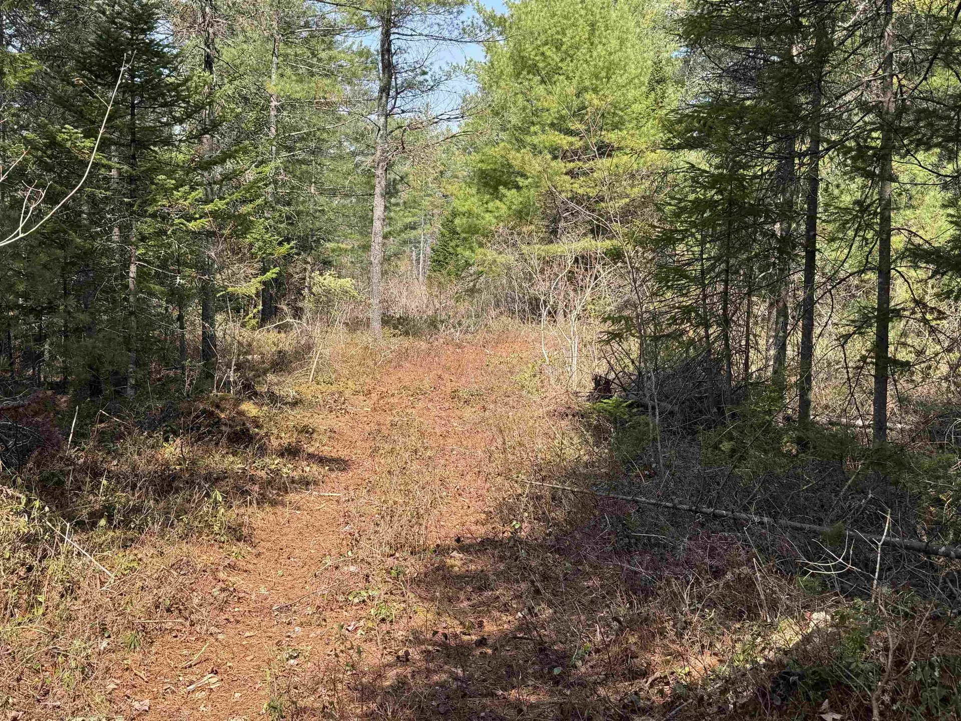 00 Province Lake Road Effingham NH 03882