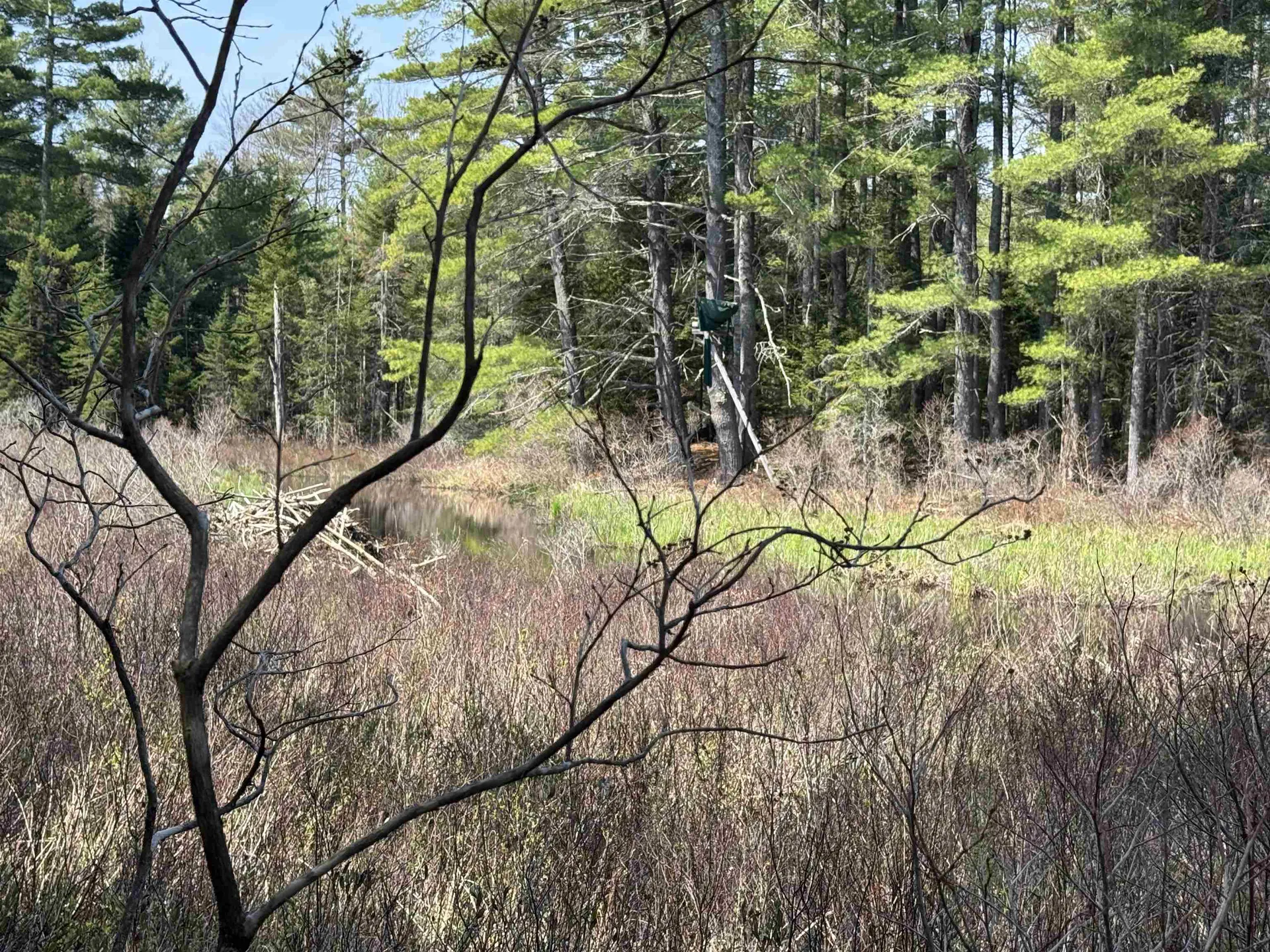 00 Province Lake Road Effingham NH 03882