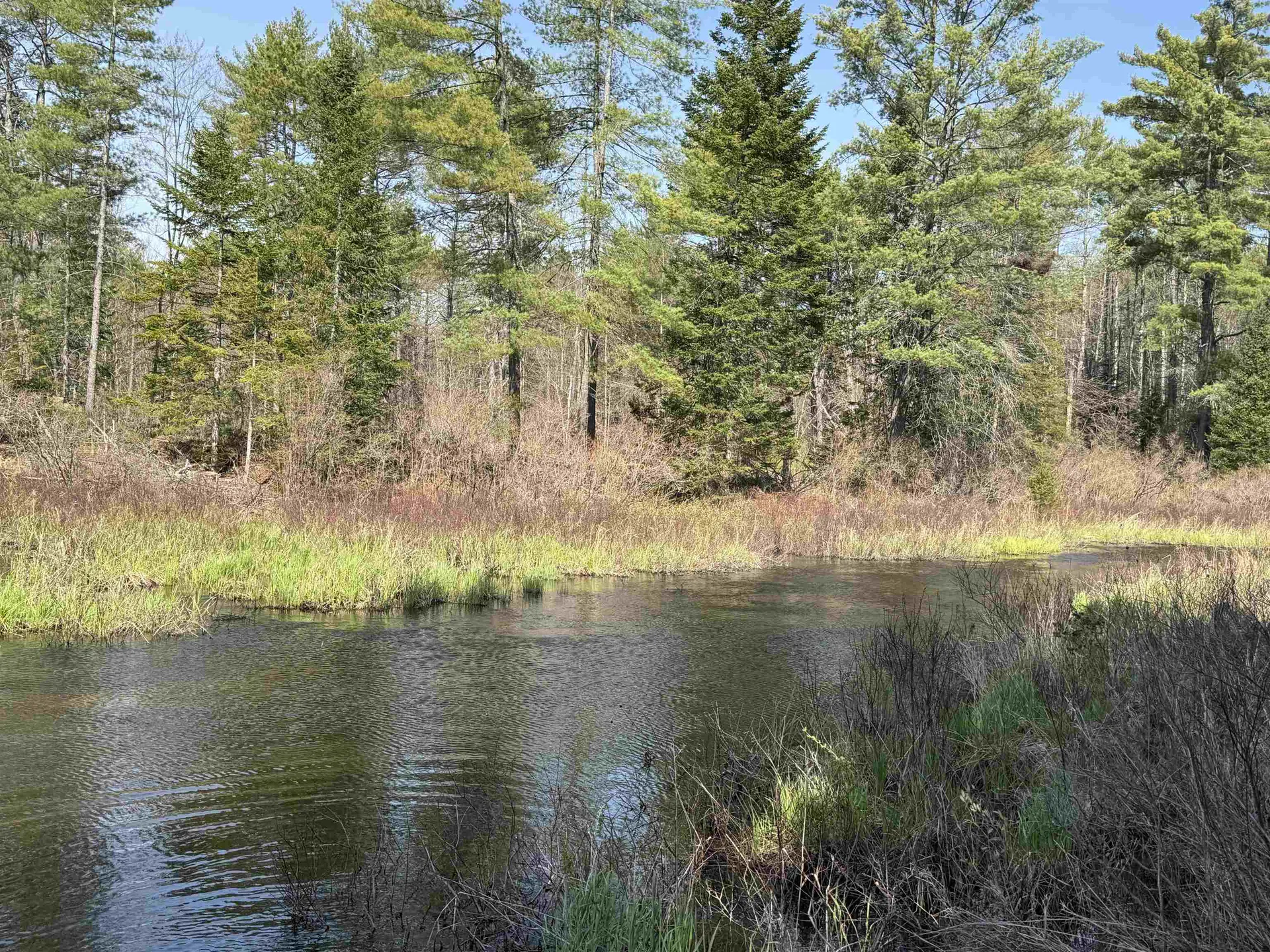 00 Province Lake Road Effingham NH 03882