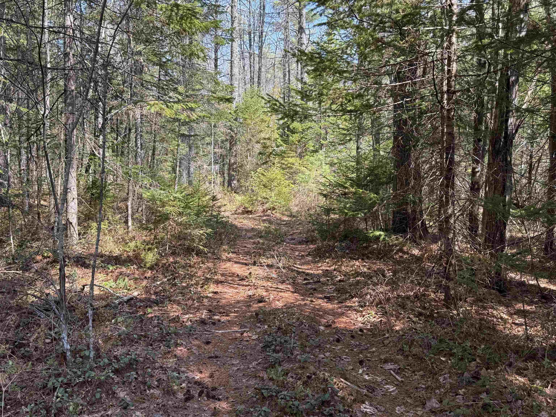 00 Province Lake Road Effingham NH 03882