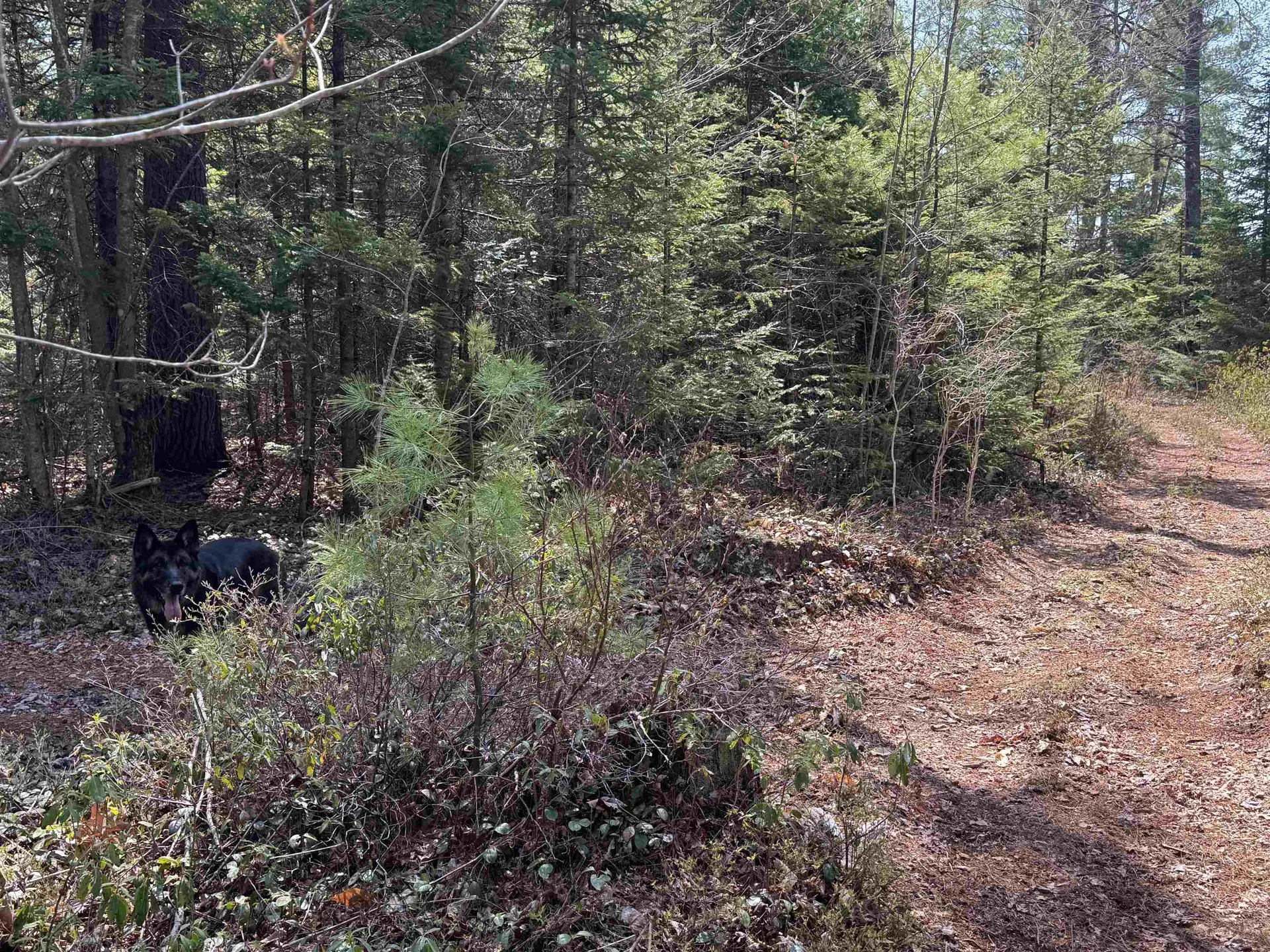 00 Province Lake Road Effingham NH 03882
