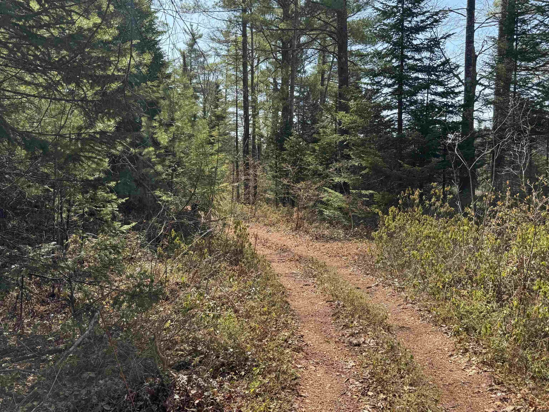 00 Province Lake Road Effingham NH 03882