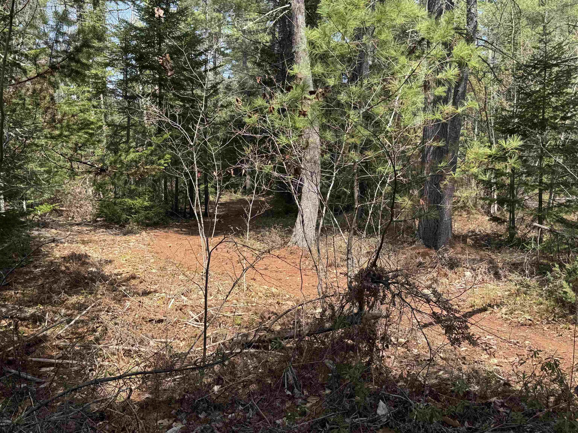 00 Province Lake Road Effingham NH 03882