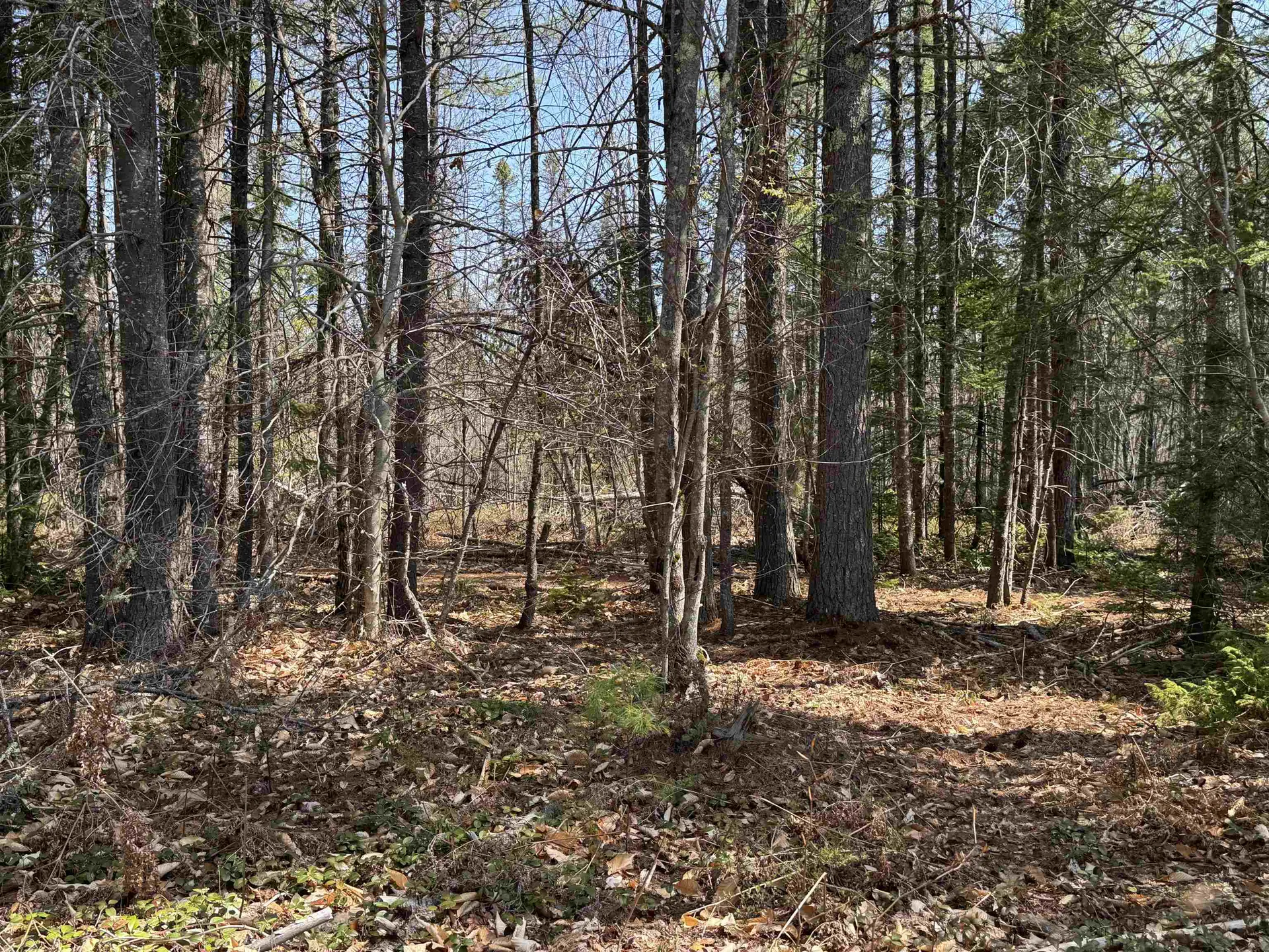 00 Province Lake Road Effingham NH 03882