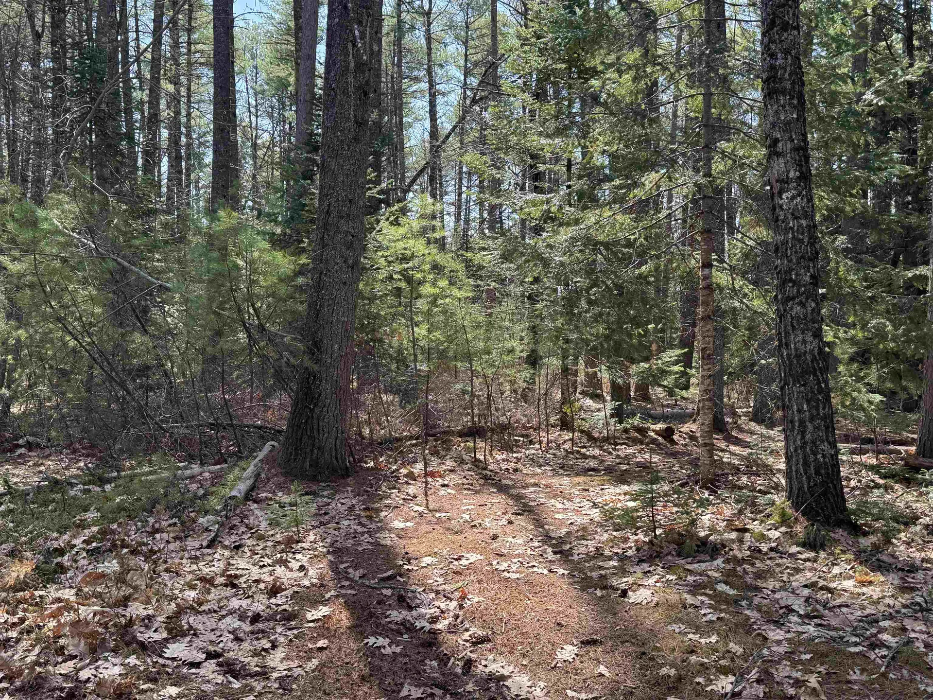 00 Province Lake Road Effingham NH 03882