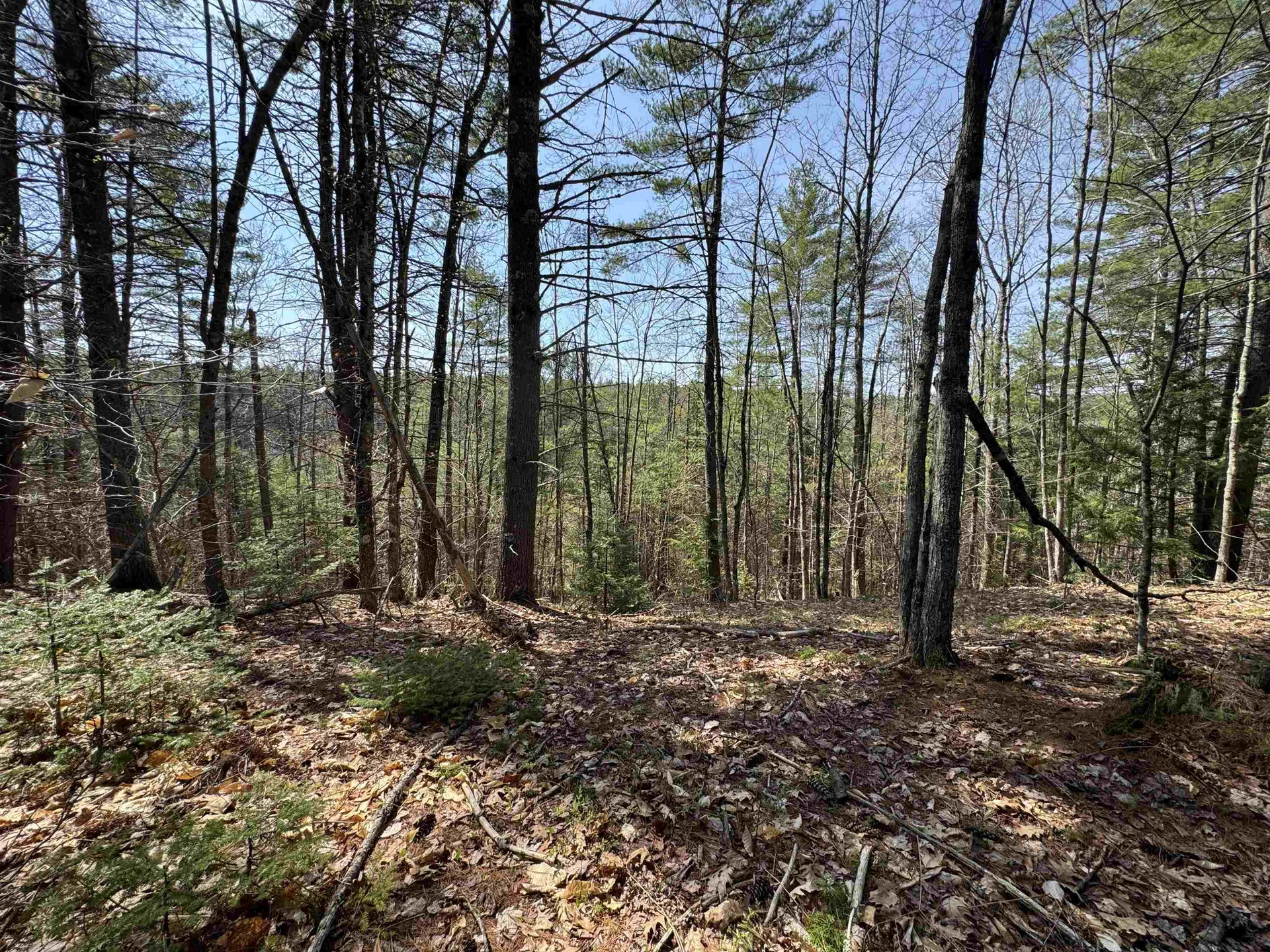 00 Province Lake Road Effingham NH 03882