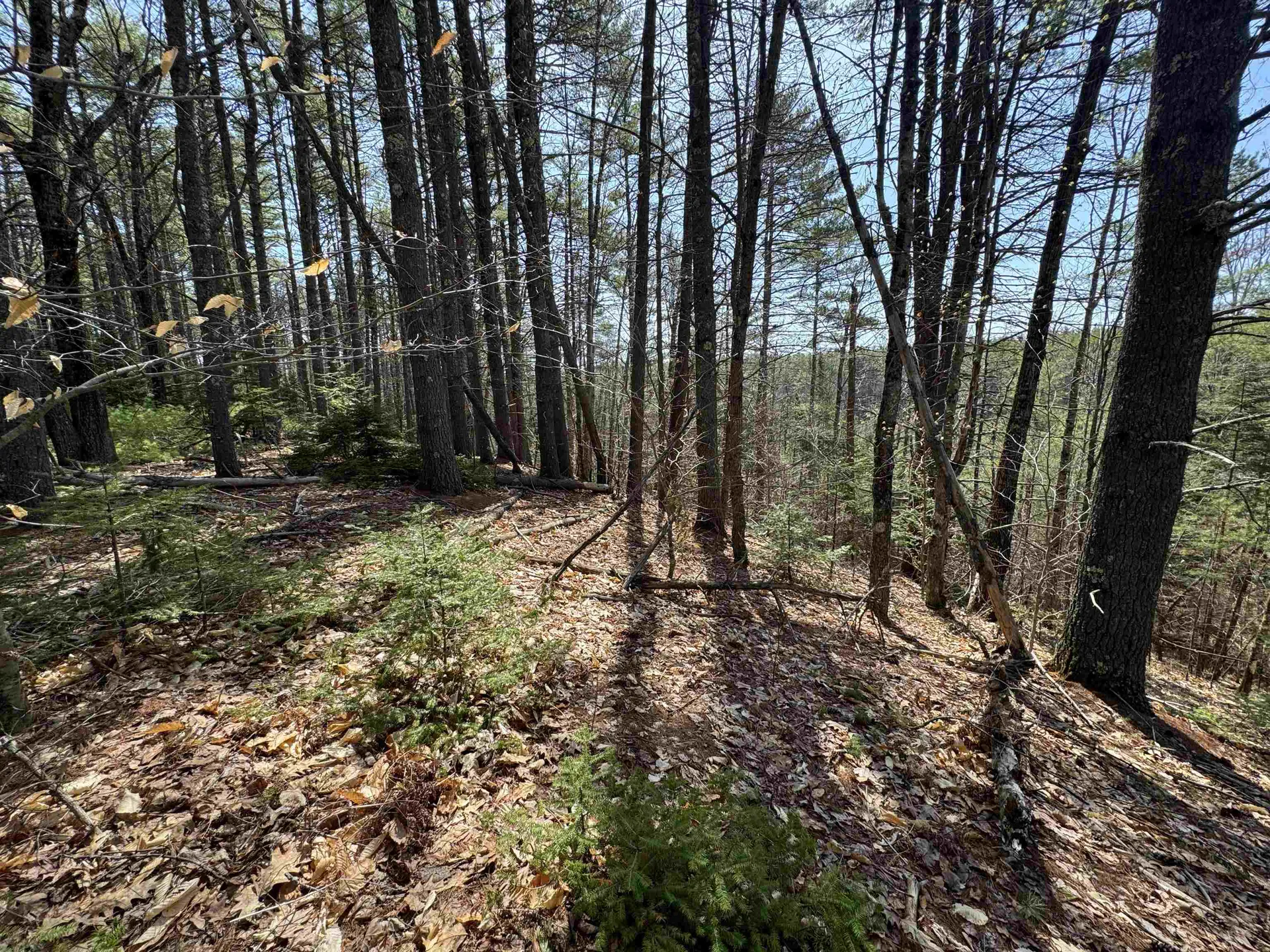 00 Province Lake Road Effingham NH 03882