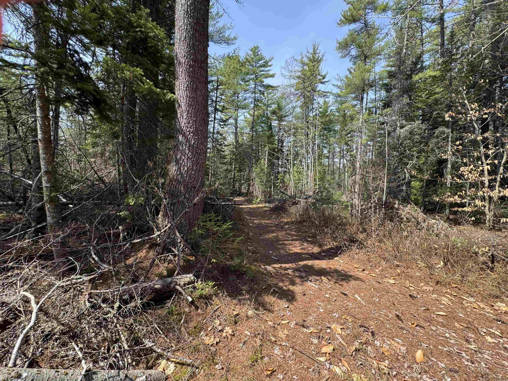 00 Province Lake Road Effingham NH 03882