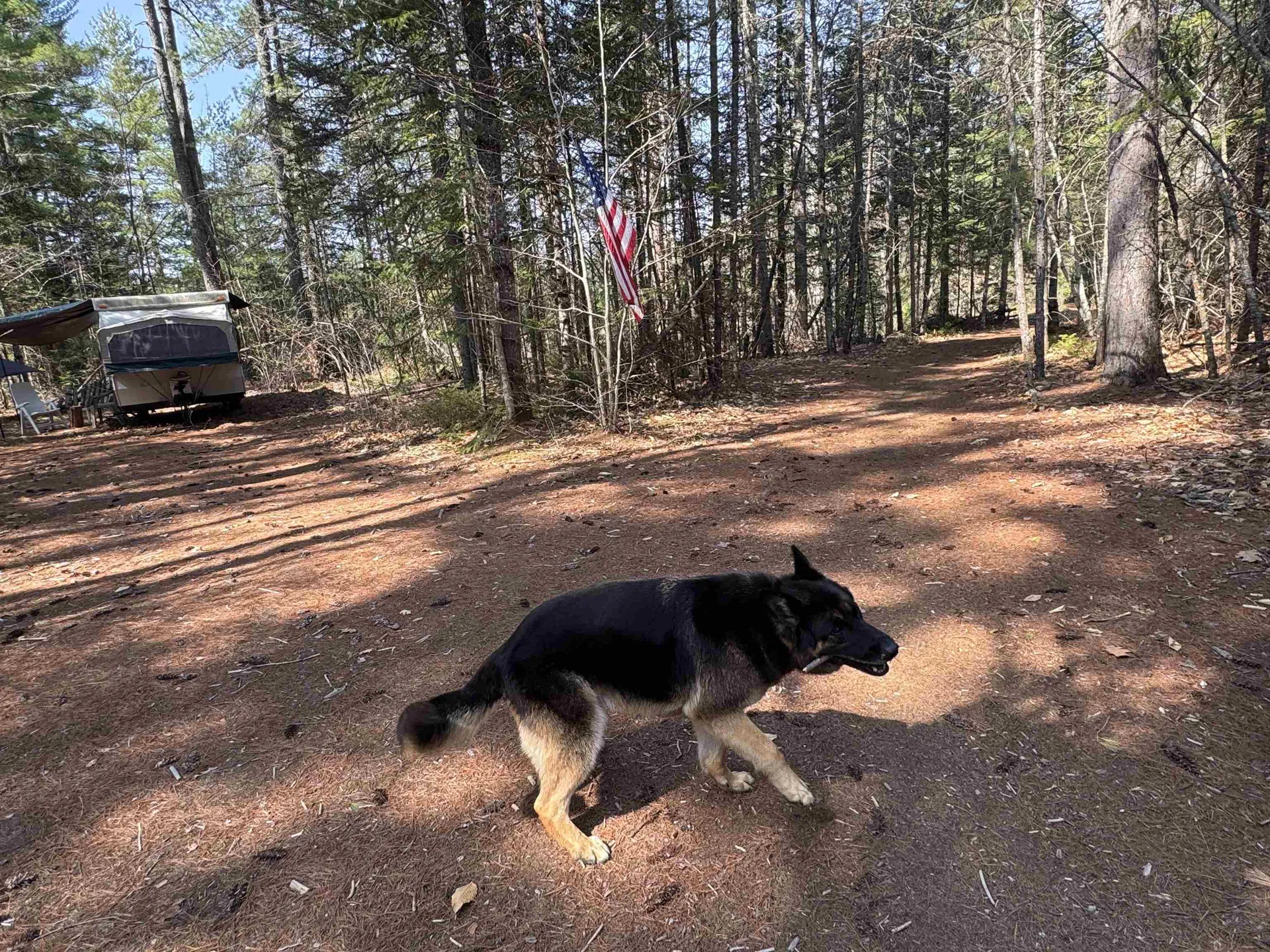 00 Province Lake Road Effingham NH 03882