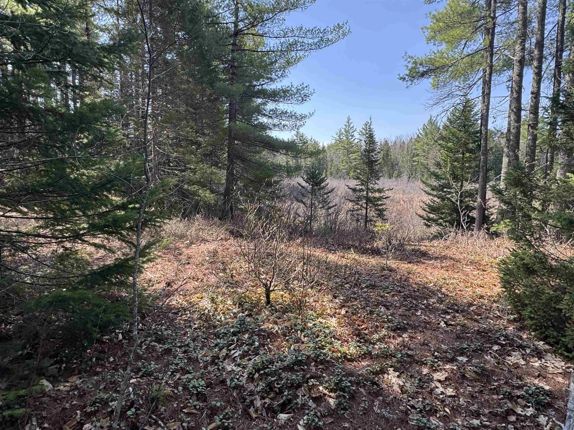 00 Province Lake Road Effingham NH 03882