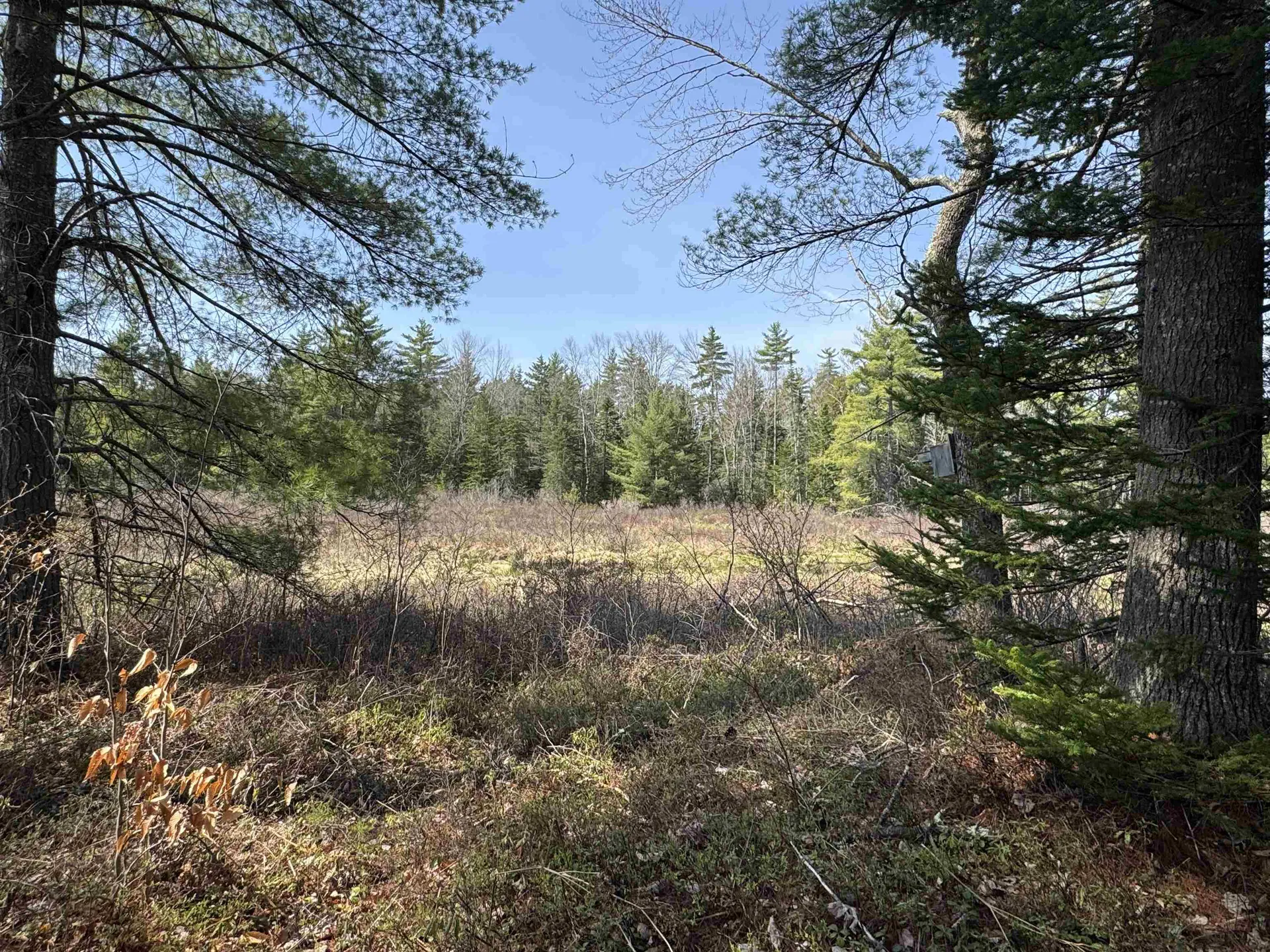00 Province Lake Road Effingham NH 03882