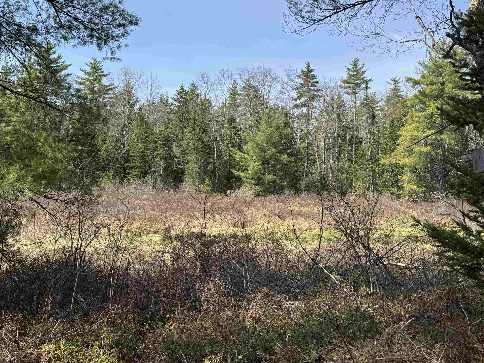 00 Province Lake Road Effingham NH 03882