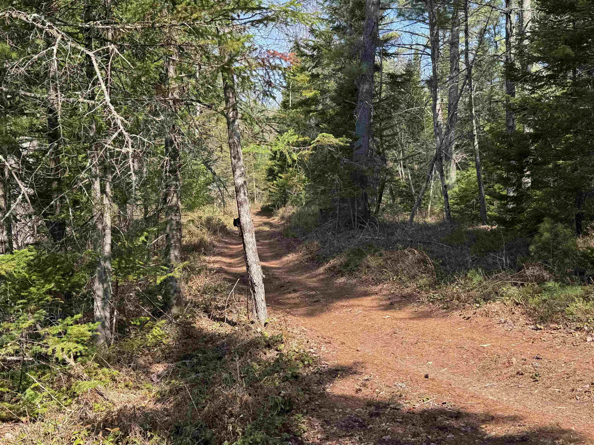 00 Province Lake Road Effingham NH 03882