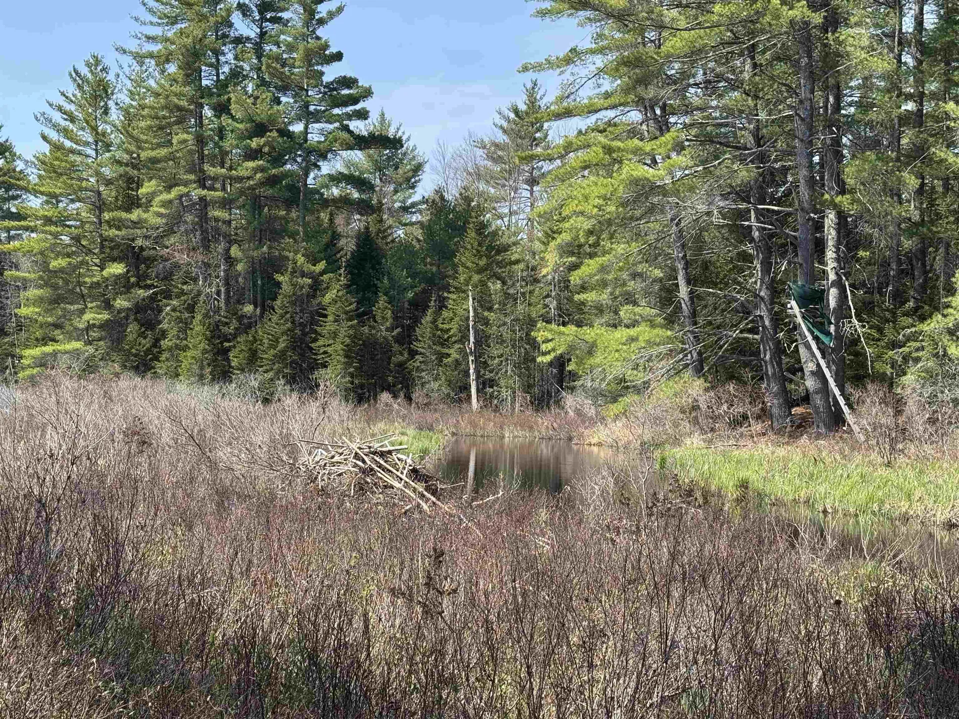 00 Province Lake Road Effingham NH 03882
