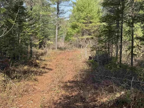 00 Province Lake Road Effingham NH 03882