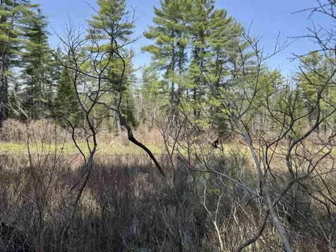 00 Province Lake Road Effingham NH 03882