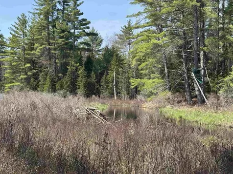 00 Province Lake Road Effingham NH 03882