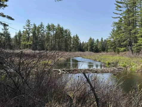 00 Province Lake Road Effingham NH 03882