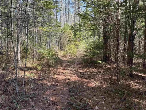 00 Province Lake Road Effingham NH 03882