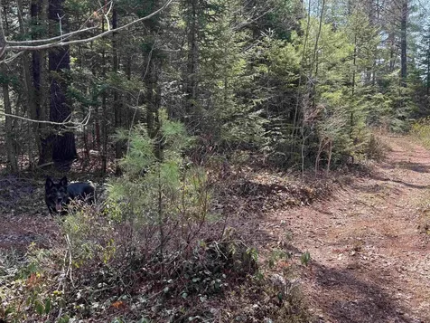 00 Province Lake Road Effingham NH 03882