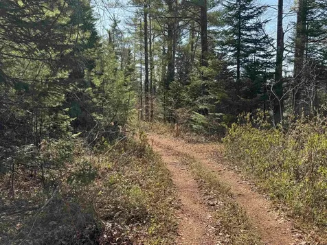 00 Province Lake Road Effingham NH 03882