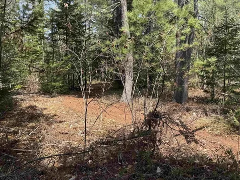 00 Province Lake Road Effingham NH 03882