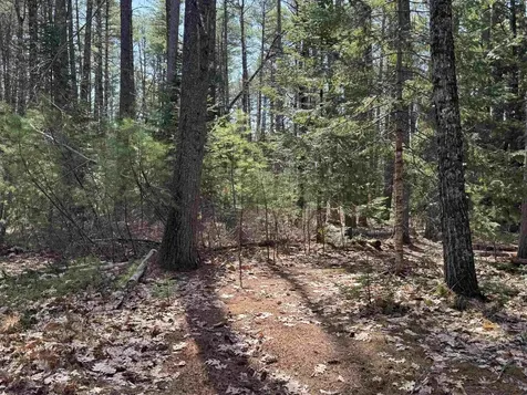 00 Province Lake Road Effingham NH 03882