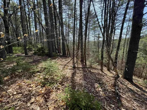 00 Province Lake Road Effingham NH 03882