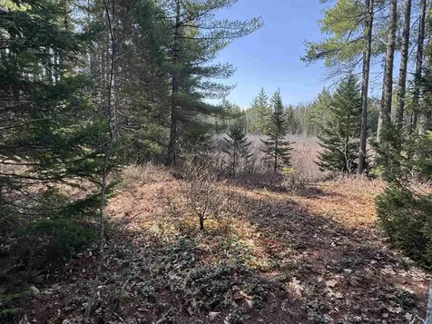 00 Province Lake Road Effingham NH 03882