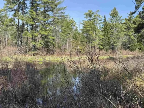 00 Province Lake Road Effingham NH 03882