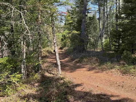 00 Province Lake Road Effingham NH 03882