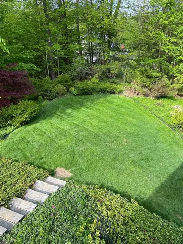 54 Forrest Drive Marlborough NH 03455