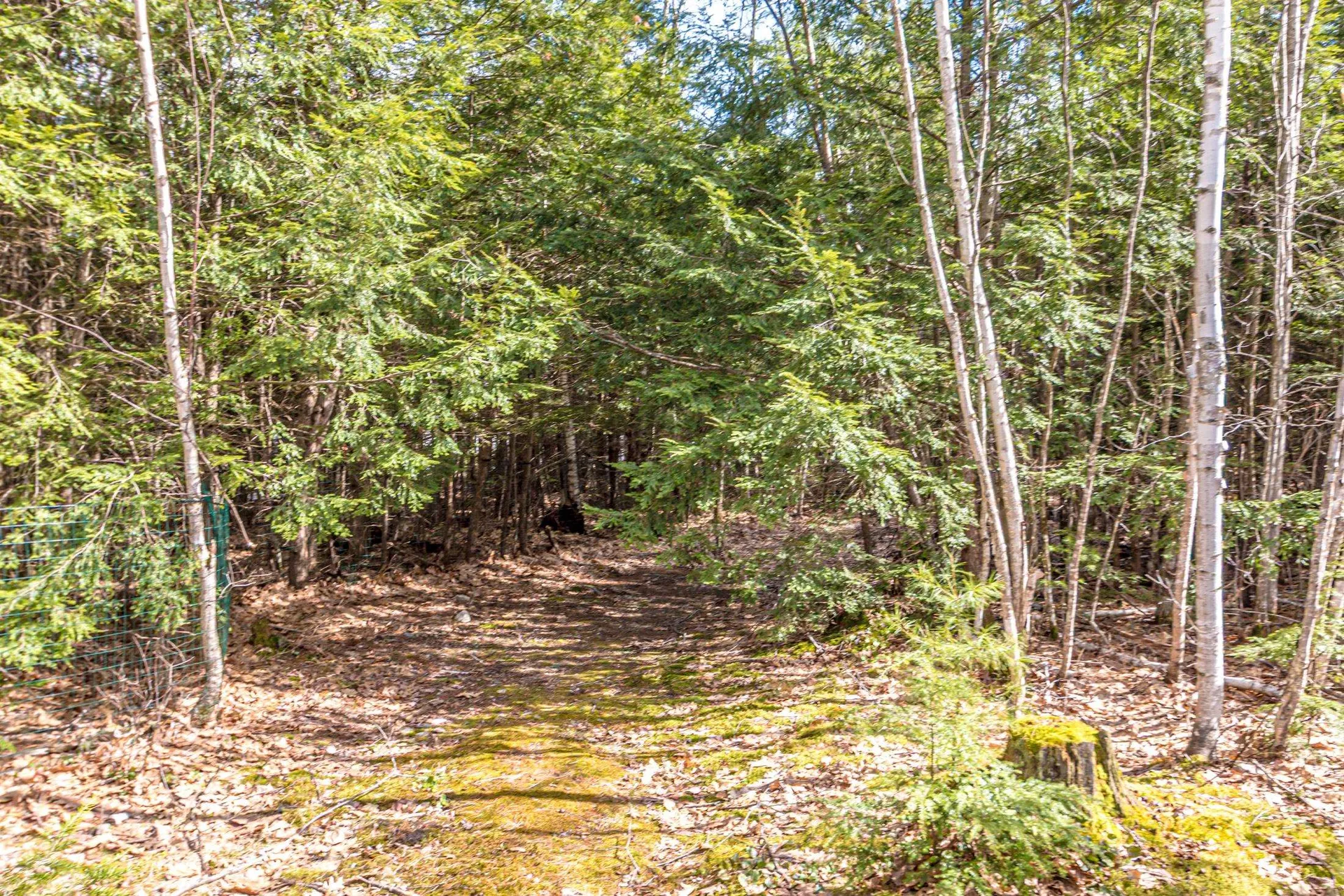 47 Oxbow Lane Conway NH 03818