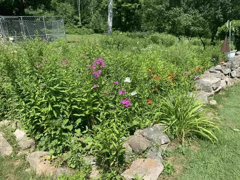 27 Bear Pond Road Canaan NH 03741