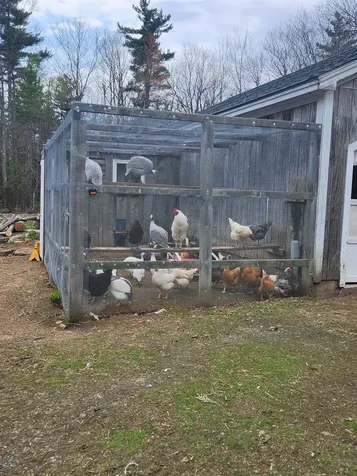 27 Bear Pond Road Canaan NH 03741