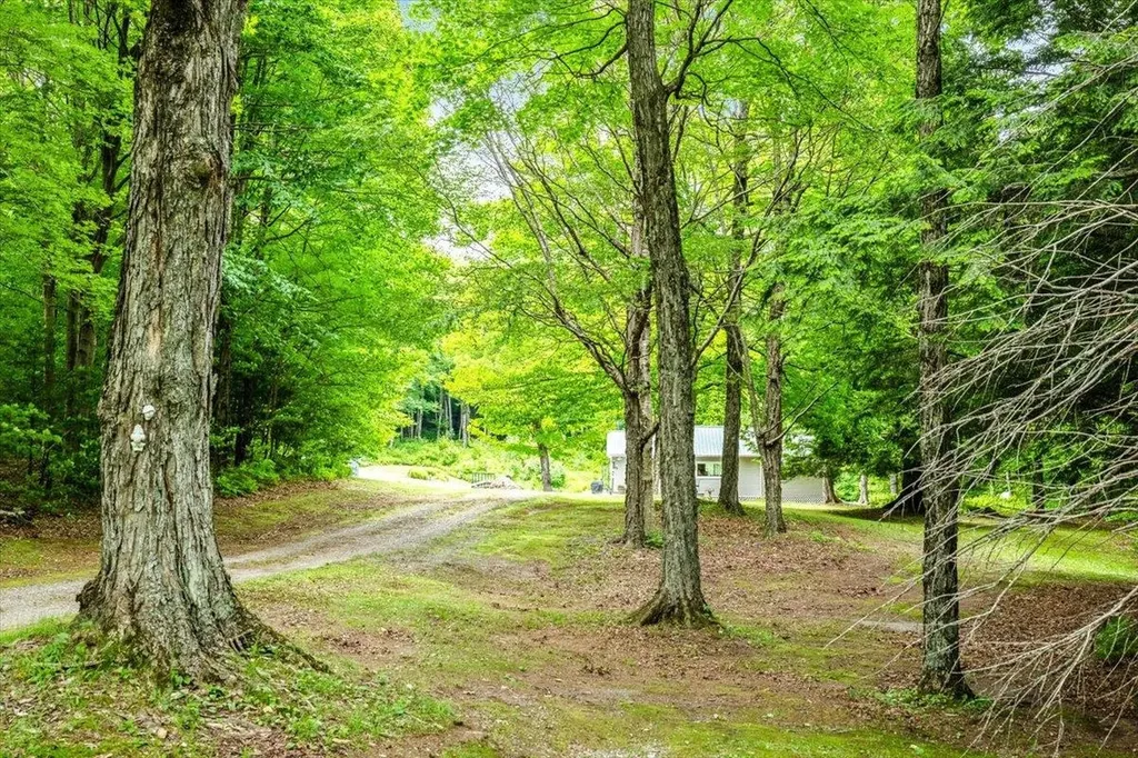 258 Highland Springs Road Montgomery VT 05471