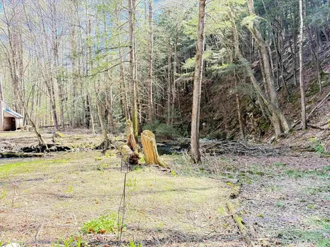 2390 Morse Brook Road Putney VT 05346