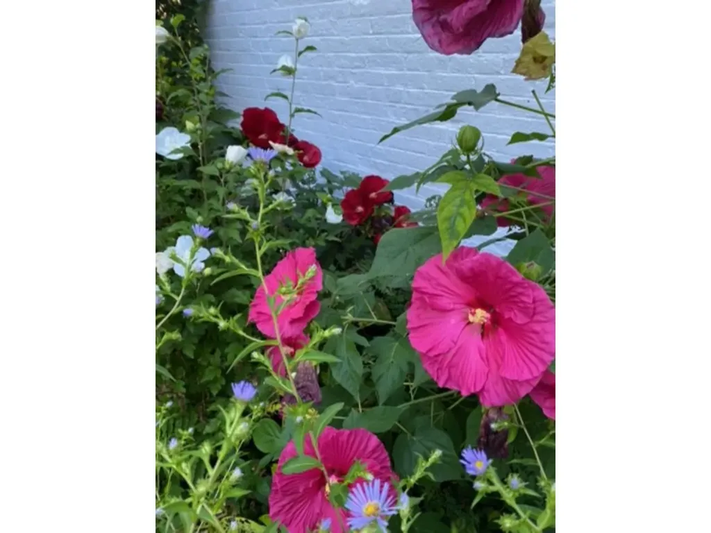 77 River Street Milton VT 05468