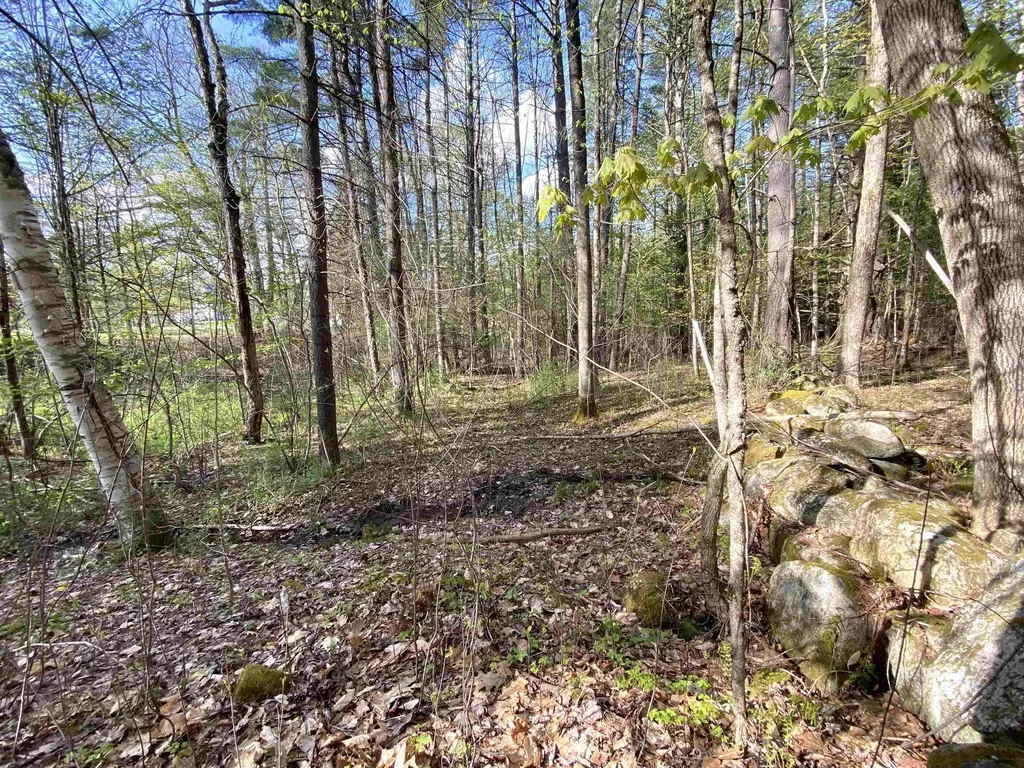 364 Bonnyvale Road Brattleboro VT 05301