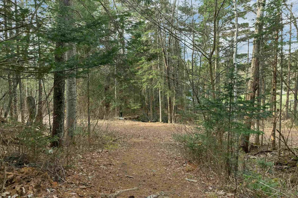 72 Black Bear Road Carroll NH 03595