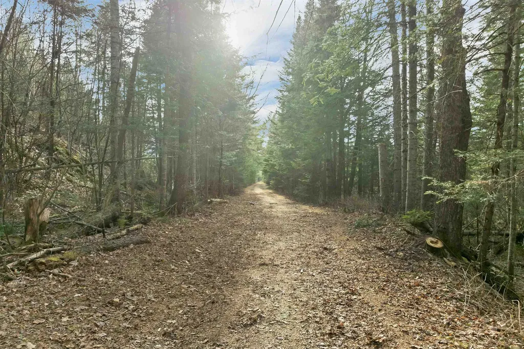 72 Black Bear Road Carroll NH 03595