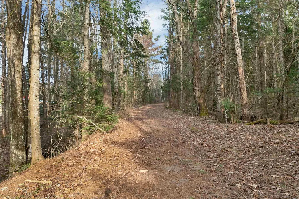 72 Black Bear Road Carroll NH 03595