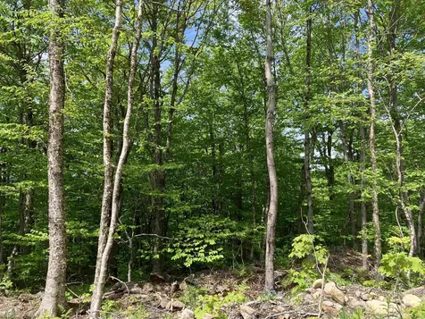 402 Fox Mt. Road Wilmington VT 05363